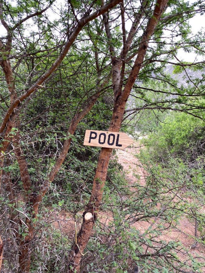 Baviaanskloof Laaste Kamp - Wild Bush Camping Sandvlakte Exteriör bild